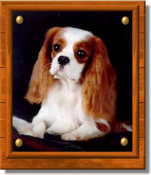 A Typical Cavalier Expression