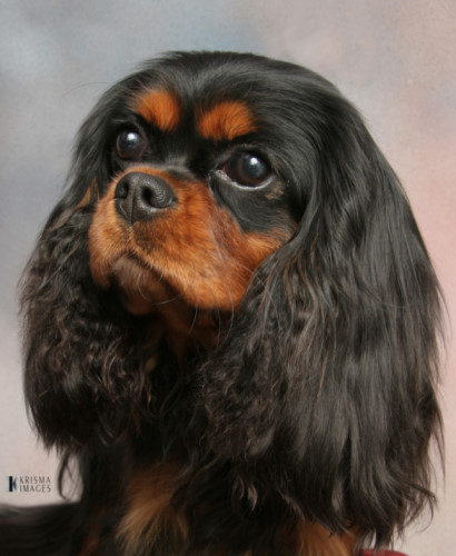 florence2.jpg (410x500 -- 58166 bytes)