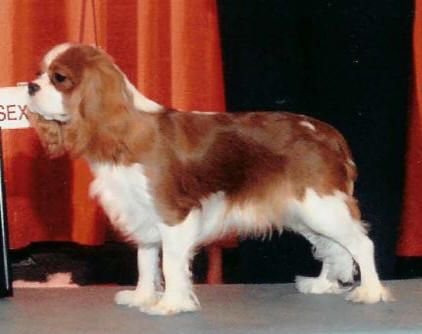 pepsieukonly.jpg (422x334 -- 21377 bytes)